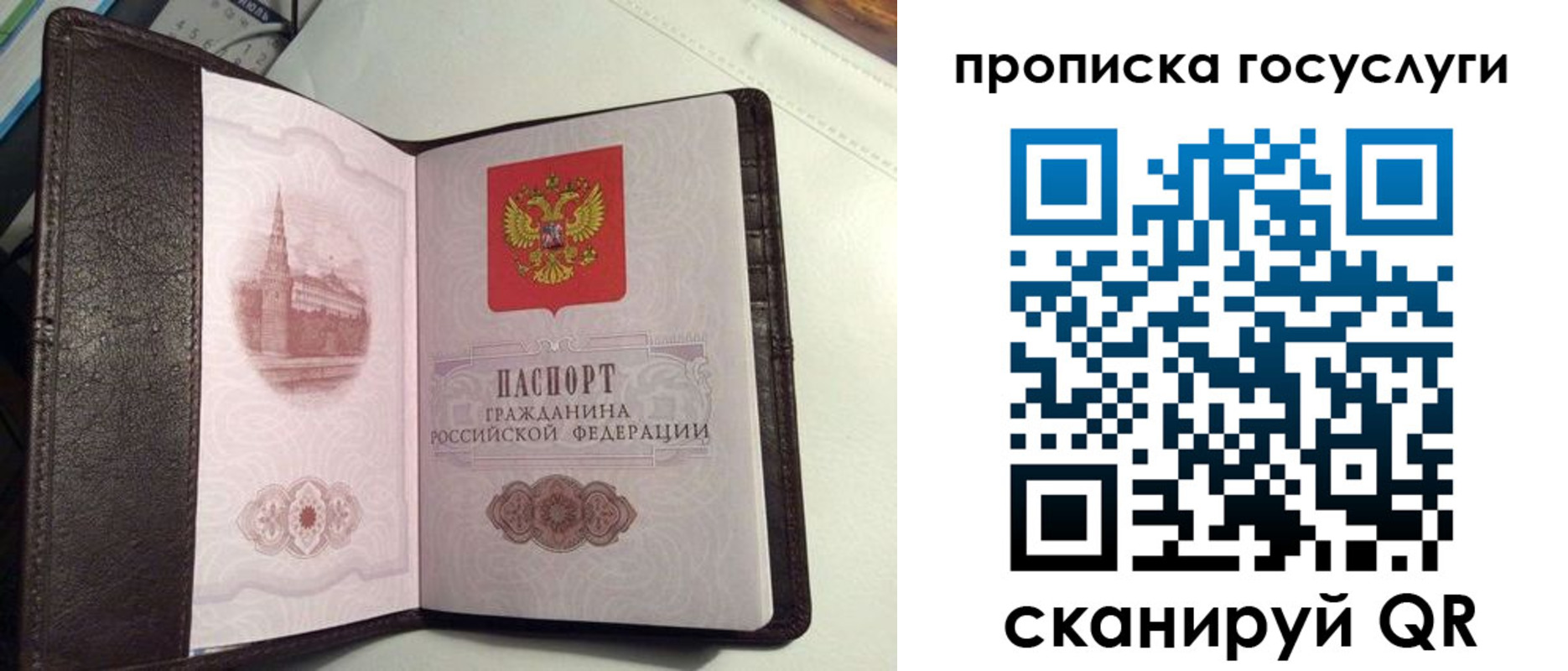 временная прописка в Котово